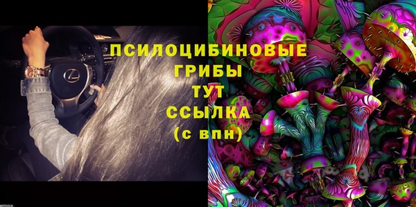 винт Горняк