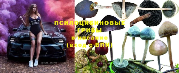 меф Горно-Алтайск